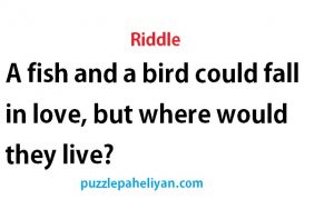 A fish and a bird could fall in love, but where would they live