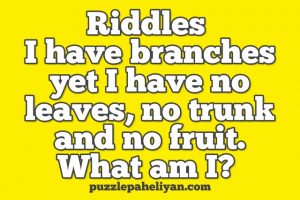 I have branches riddle answer