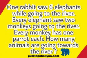 One Rabbit Saw 6 Elephants Puzzle Answer