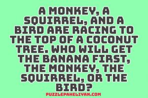 a monkey a squirrel and a bird riddle answer