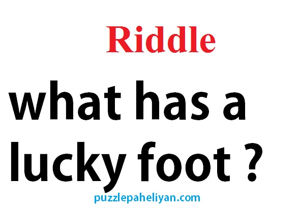 what has a lucky foot riddle answer