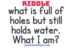 What is full of holes but still holds water