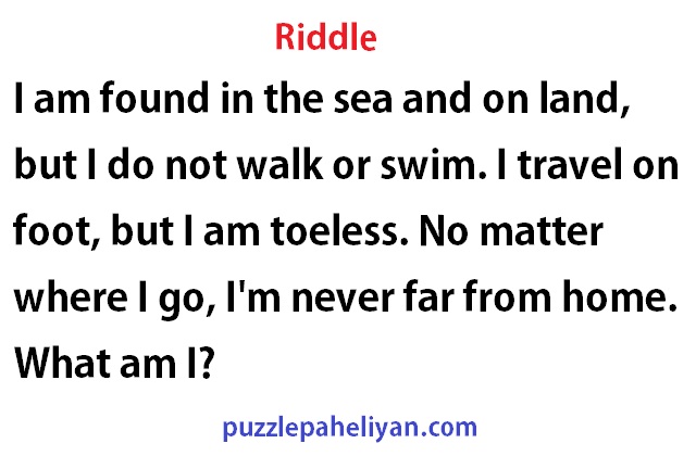 I am found in the sea and on land riddle answer