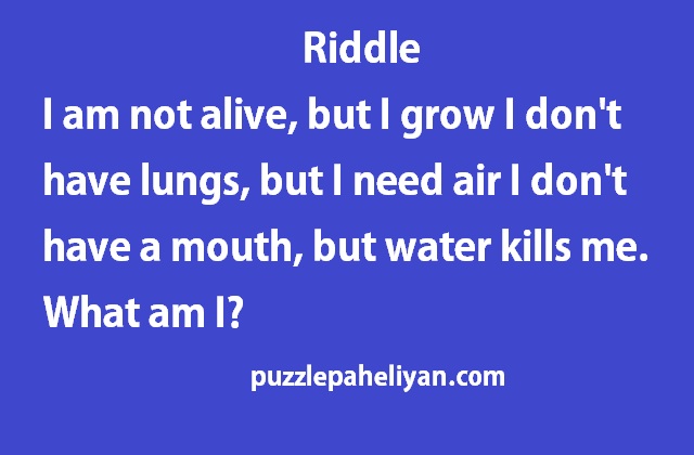 I am not alive but I grow riddle answer