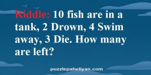 10 Fish in a Tank Riddle