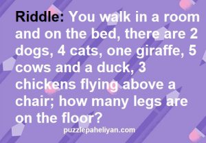 A Room has 2 Dogs 4 Horses 1 Giraffe Riddle Answer