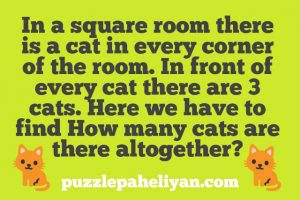 Cat in a Square Room Riddle Answer