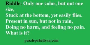 Only one color but not one size riddle answer