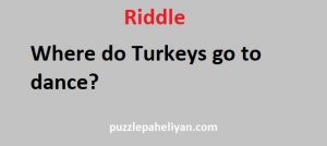 Where do Turkeys go to dance riddle