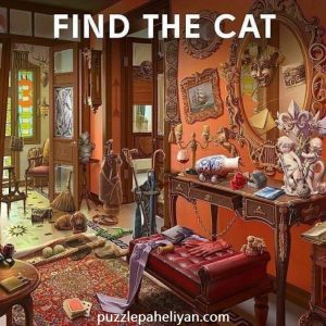 Find the Cat in Room Puzzle