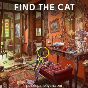 Find the Cat in Room Puzzle Answer