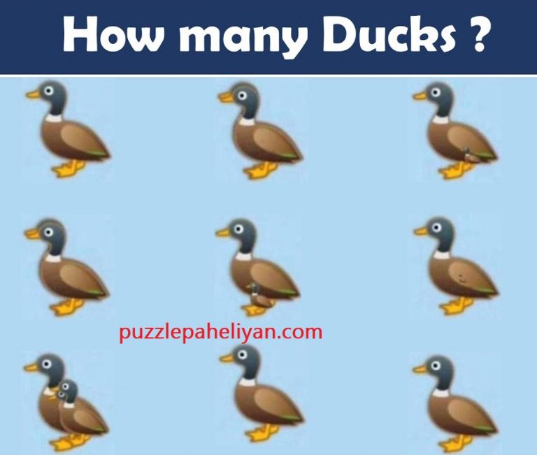 How Many Ducks In The Picture Riddle