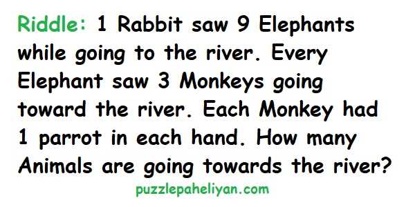 1 Rabbit Saw 9 Elephants Riddle