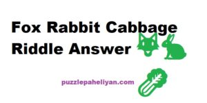 Fox Rabbit Cabbage Riddle