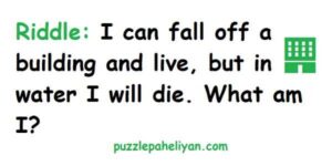 I Can Fall off a Building and Live Riddle