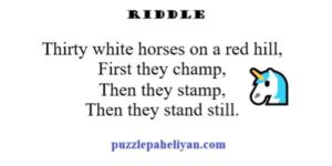 Thirty White Horses on a Red Hill Riddle