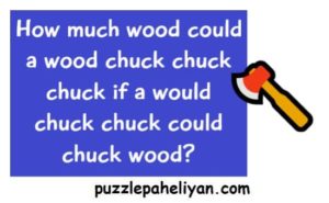 How Much Wood Could a Woodchuck Chuck Riddle