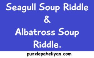 Seagull Soup Riddle