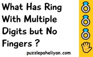 What Has Ring With Multiple Digits but No Fingers