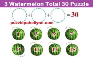 3 Watermelon Total 30 Puzzle