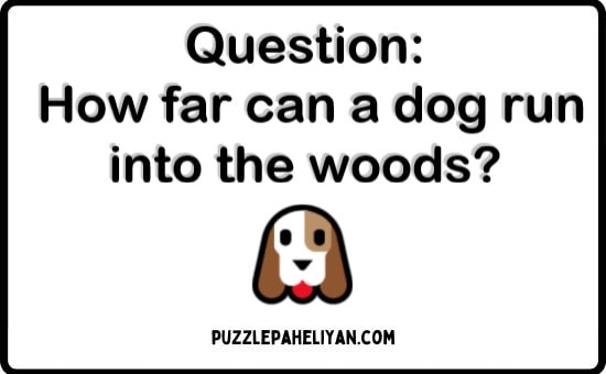 How Far Can a Dog Run Into the Woods