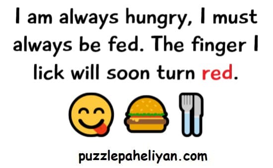 I am always hungry I must be fed riddle