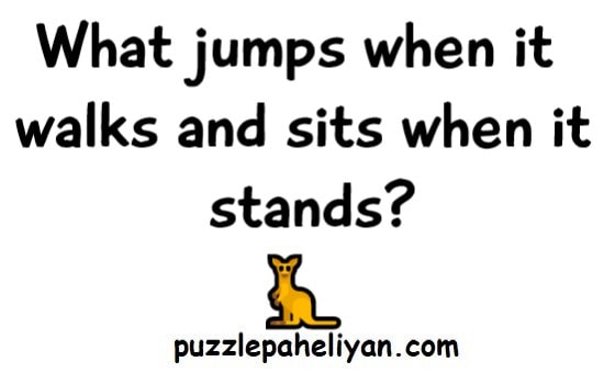 What jumps when it walks and sits when it stands riddle