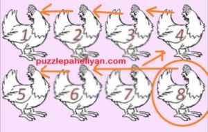 Which Chicken Is Different Riddle Answer