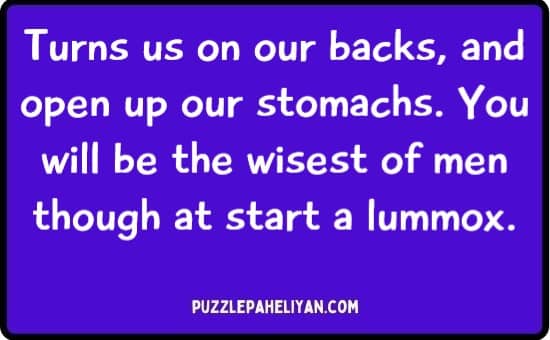 Turns Us on Our Backs and Open up Our Stomachs