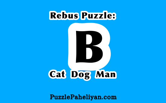 B Cat Dog Man Puzzle