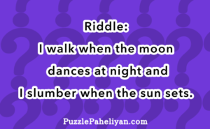 I Walk When the Moon Dances at Night Riddle