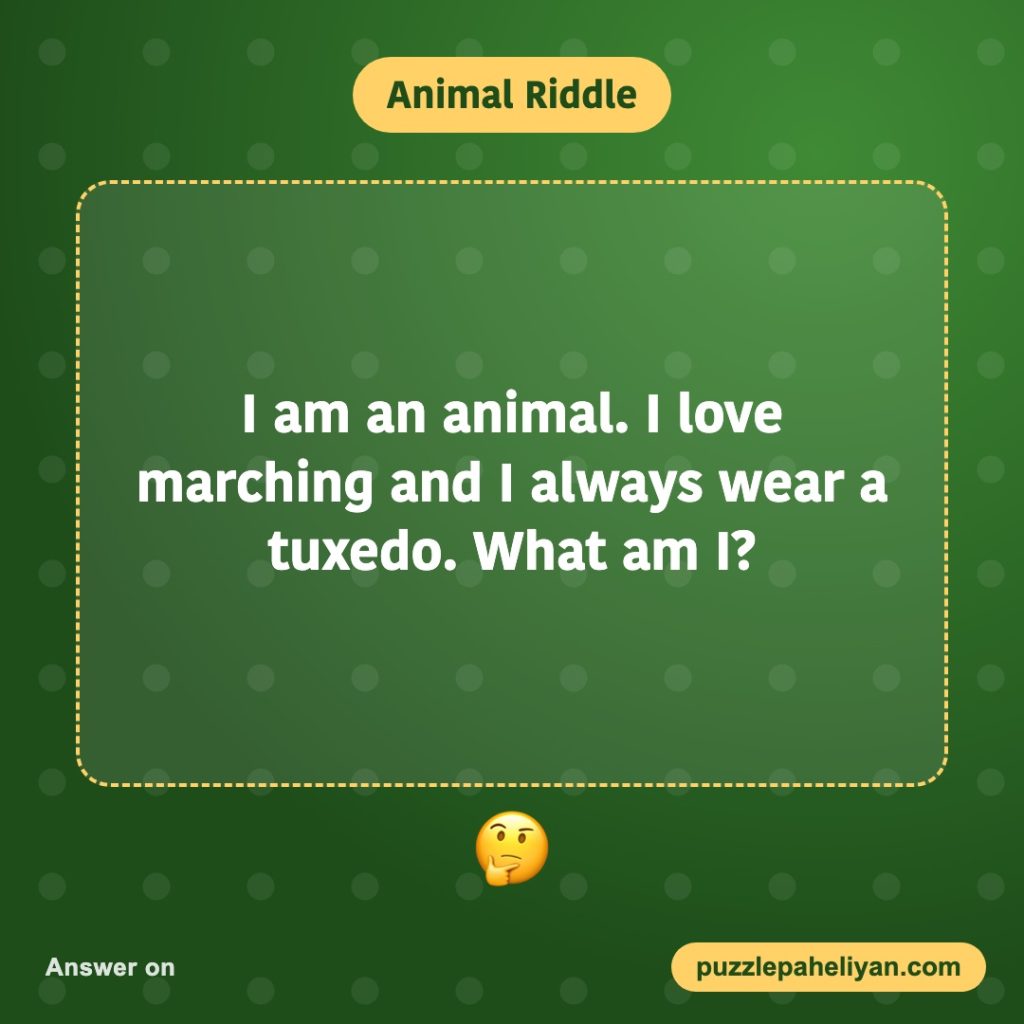 Riddle: I am an animal, I love marching and I wear a tuxedo – what am I?