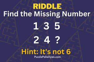 1 3 5 2 4 not 6 riddle