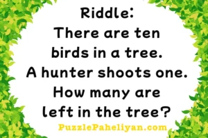10 birds in a tree riddle
