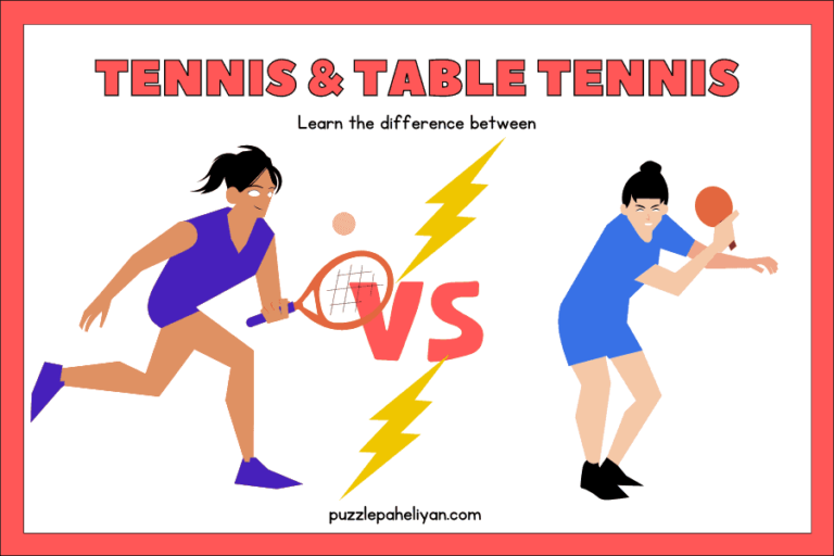 Difference Between Tennis and Table Tennis
