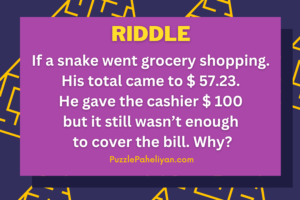 A Snake Went Grocery Shopping Riddle