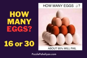 How Many eggs can you see picture puzzle