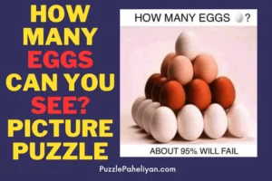 How Many eggs riddle picture