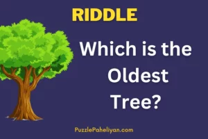 Which is the Oldest Tree Riddle