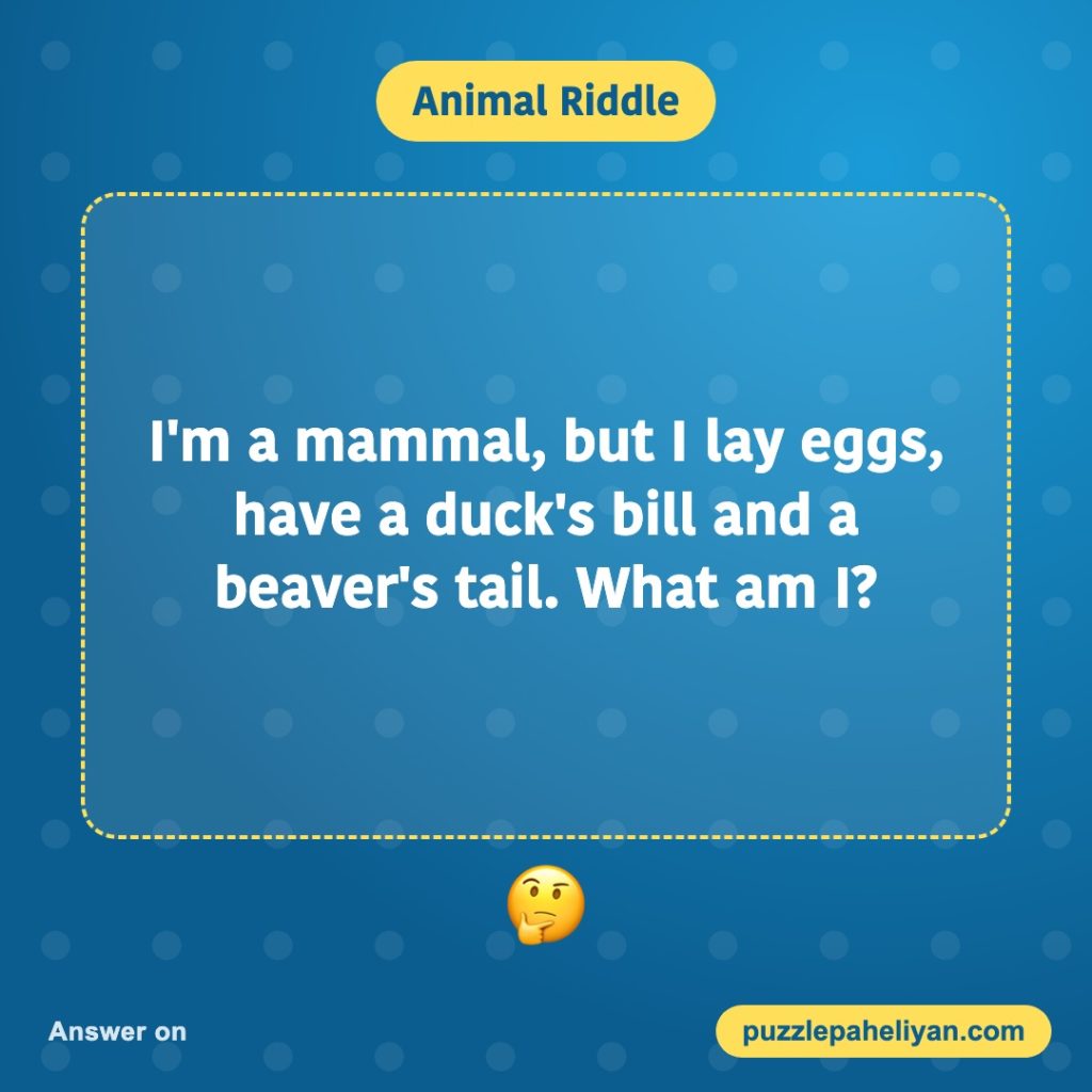 Animal riddle: I'm a mammal but I lay eggs and have a duck's bill. What am I?