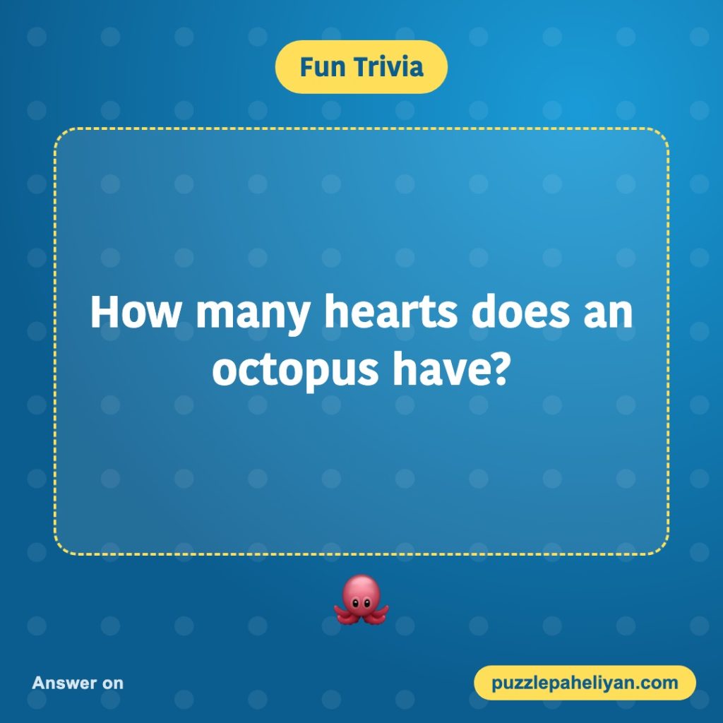 Fun trivia question: how many hearts does an octopus have?